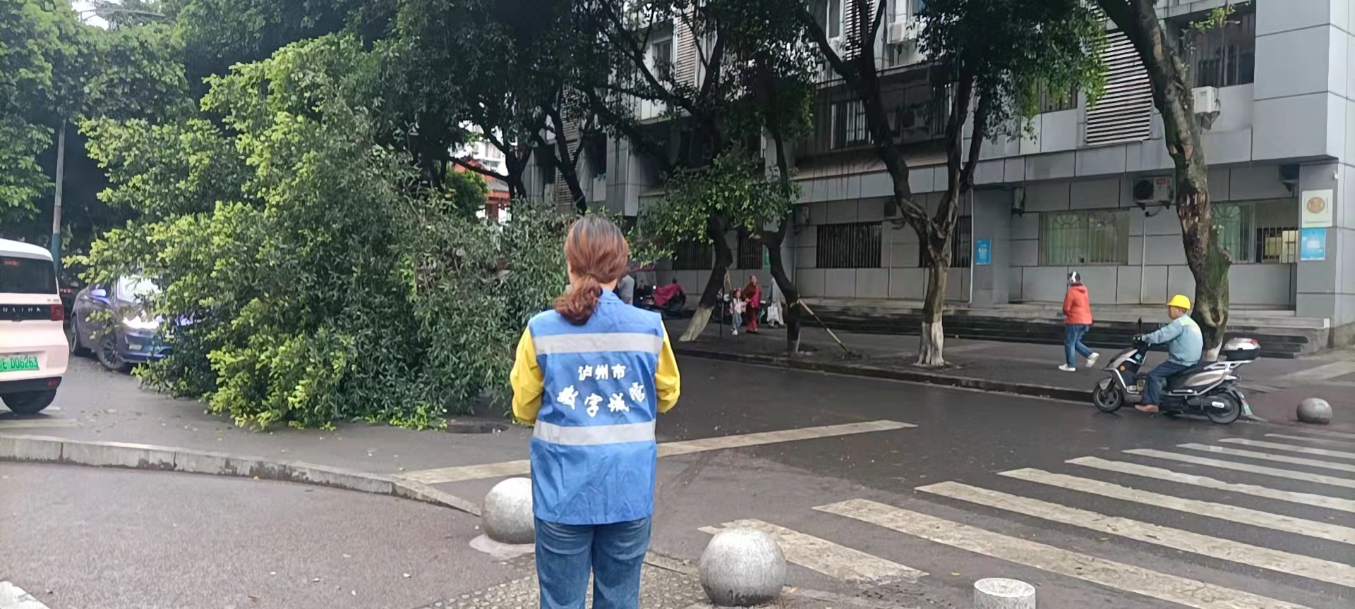 堅持雨后精準采集，共護市民出行安全