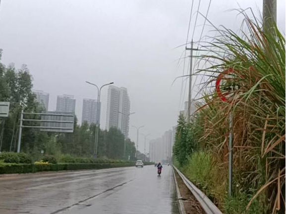 全力以赴戰寒潮，姜汁湯圓暖人心