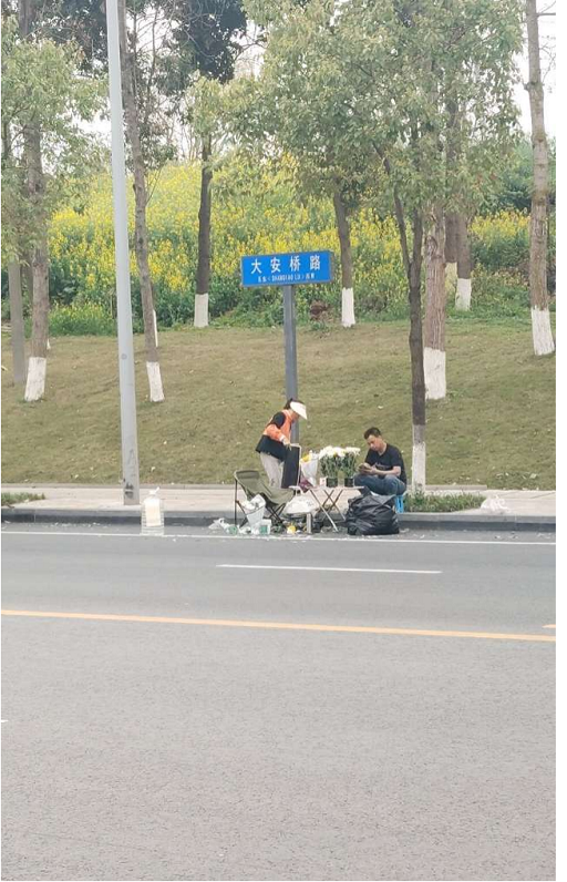 全力治“序”不停歇 護航清明文明祭